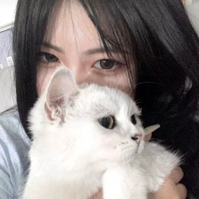逍遥津手游正版下载