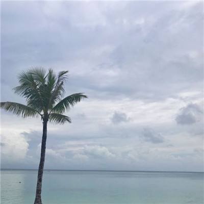 武林群侠传bt版下载